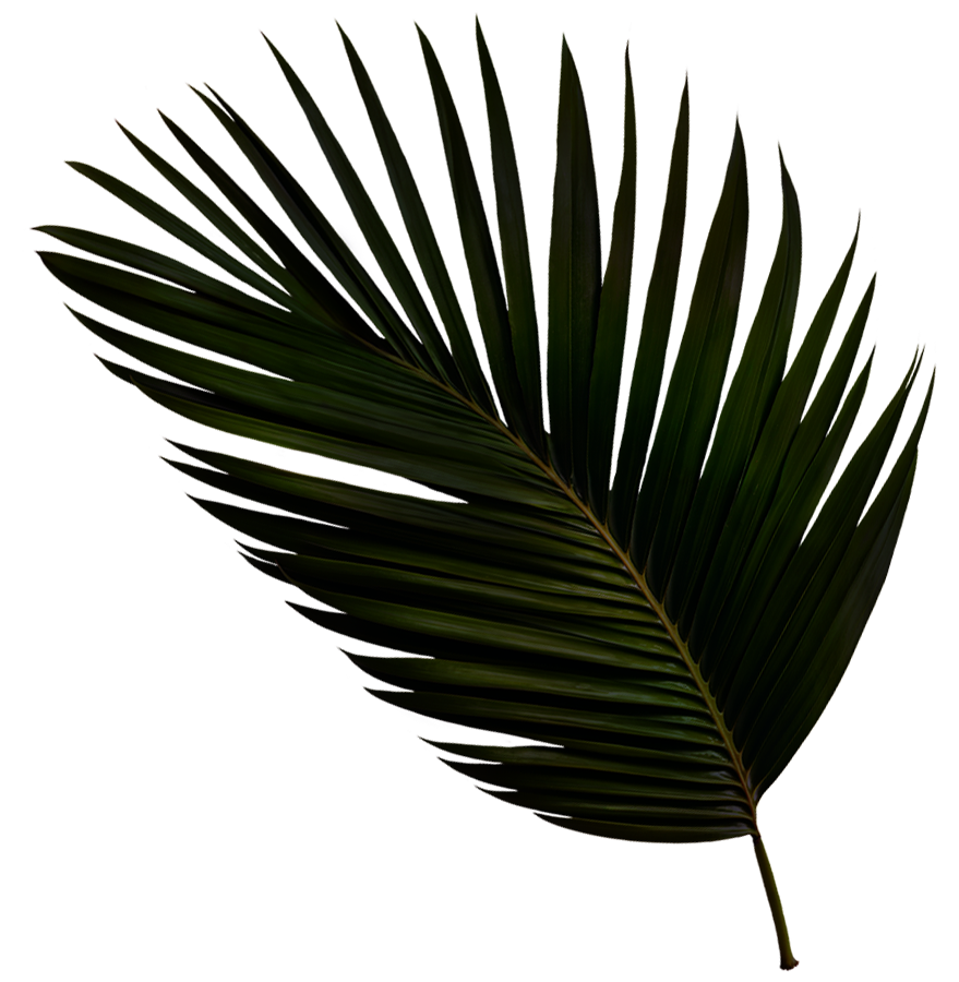 head_clear_right