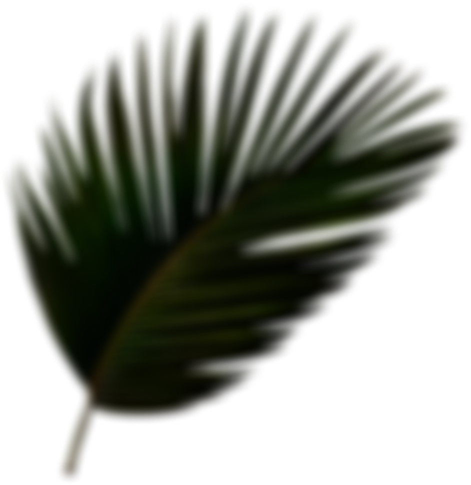 head_leaft_leaf