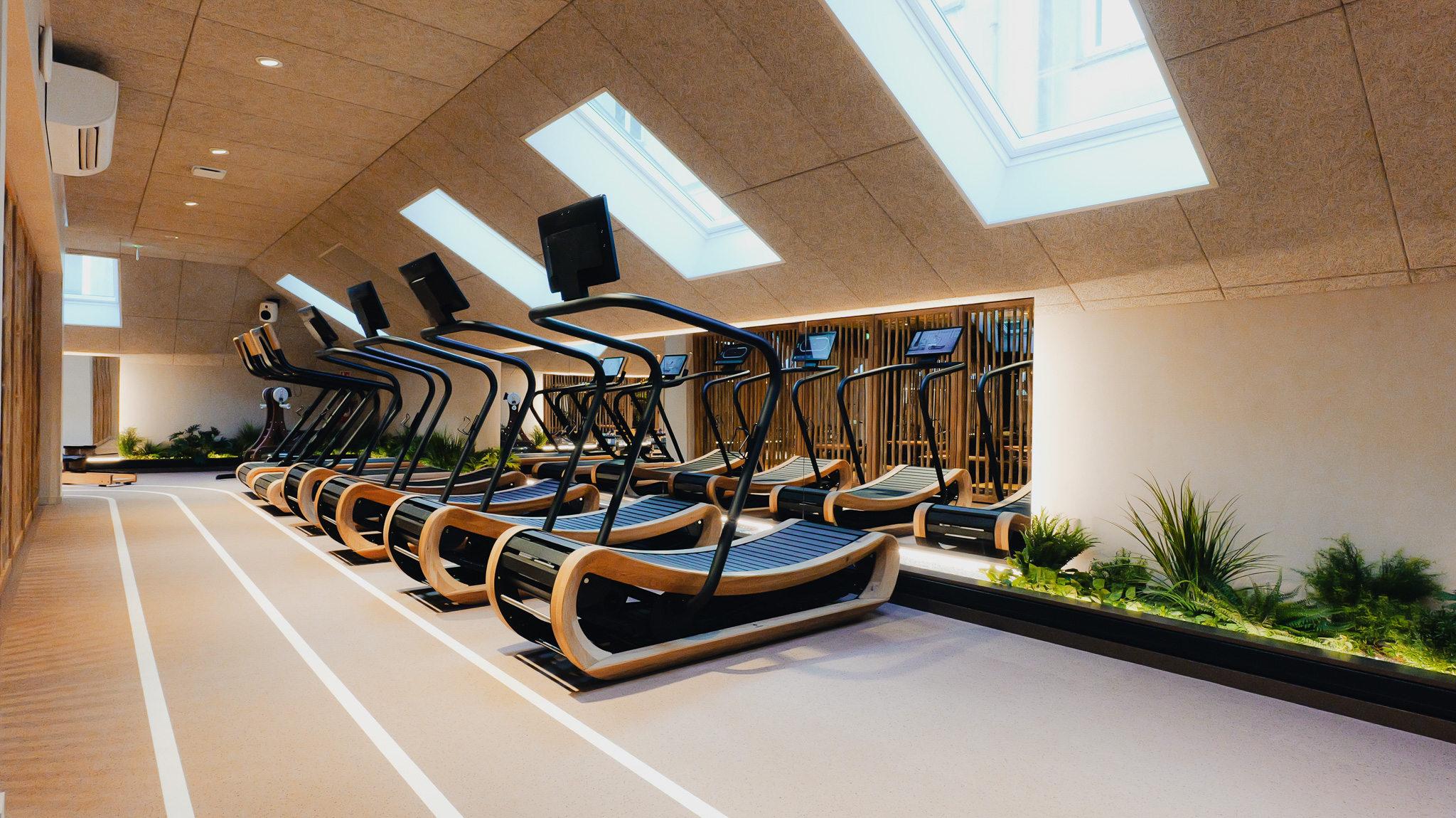 Salle de sport avec plusieurs tapis de course modernes sous des fenêtres de toit et plantes décoratives le long du mur